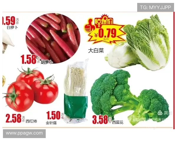 白菜网官网：探索最优质的购物体验与优惠活动